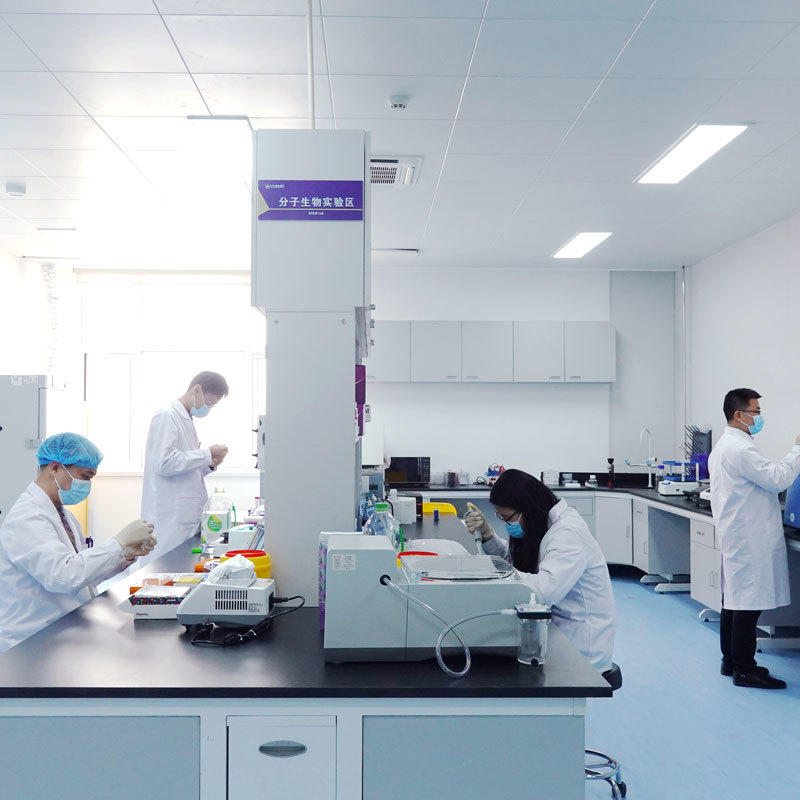 分子实验生物区